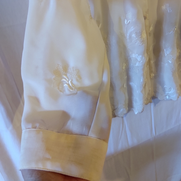 HW New York Women's Cream Sheer Dressy Button Down Blouse Size L - Picture 3 of 12